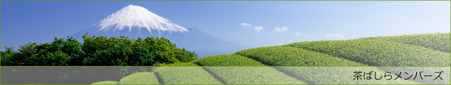 茶ばしらメンバーズ